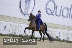 25R13_14932 proof
