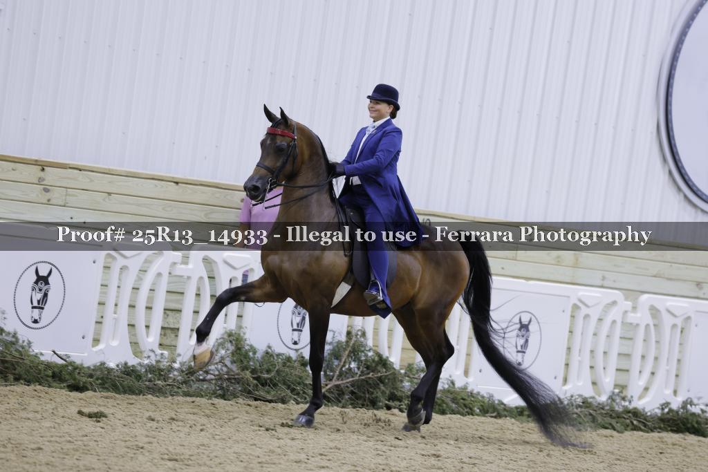 Proof 25R13_14933