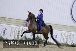 25R13_14933 proof