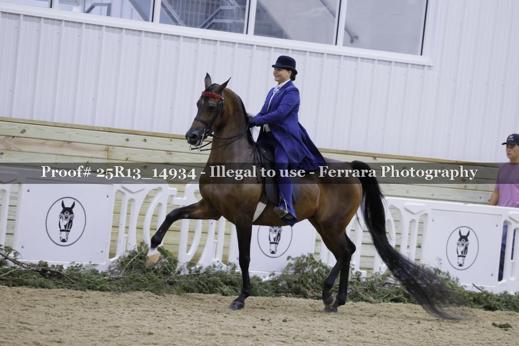 Proof 25R13_14934