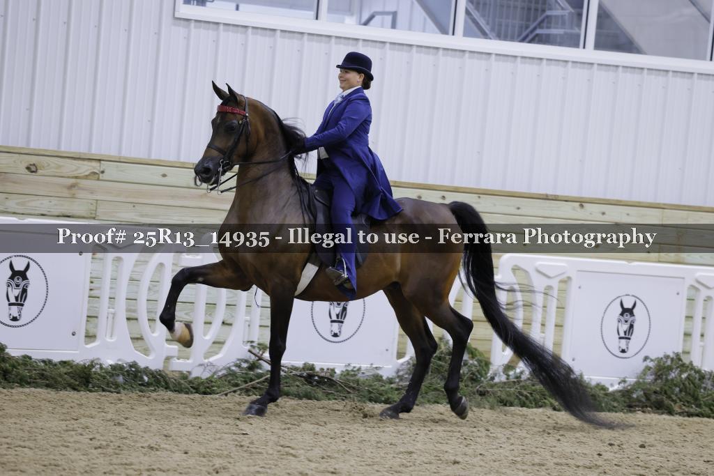 Proof 25R13_14935