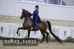 25R13_14935 proof