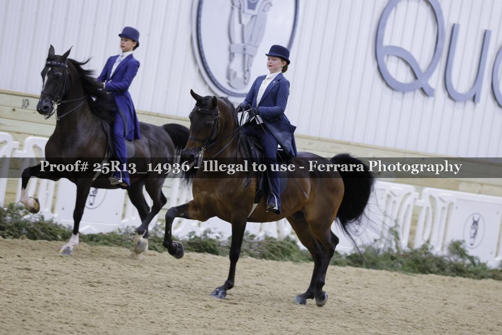 Proof 25R13_14936
