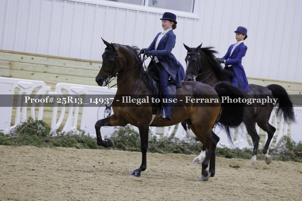 Proof 25R13_14937