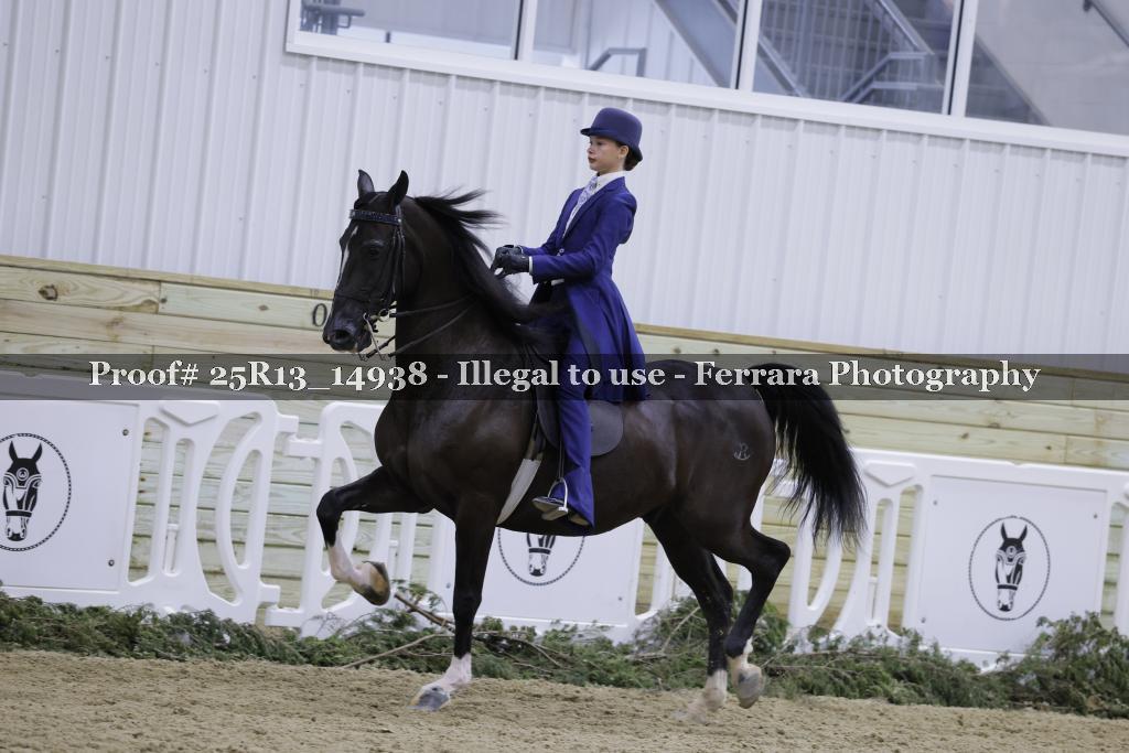 Proof 25R13_14938