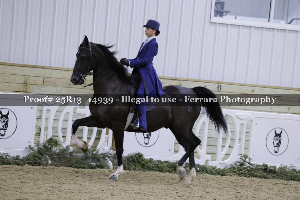 Proof 25R13_14939