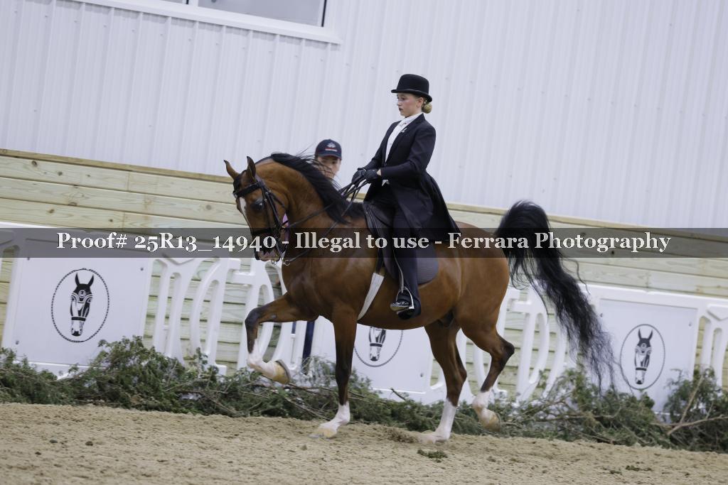 Proof 25R13_14940