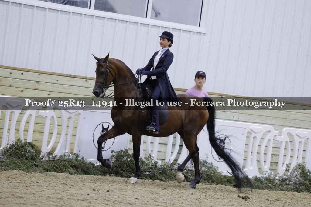 Proof 25R13_14941