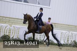 25R13_14941 proof