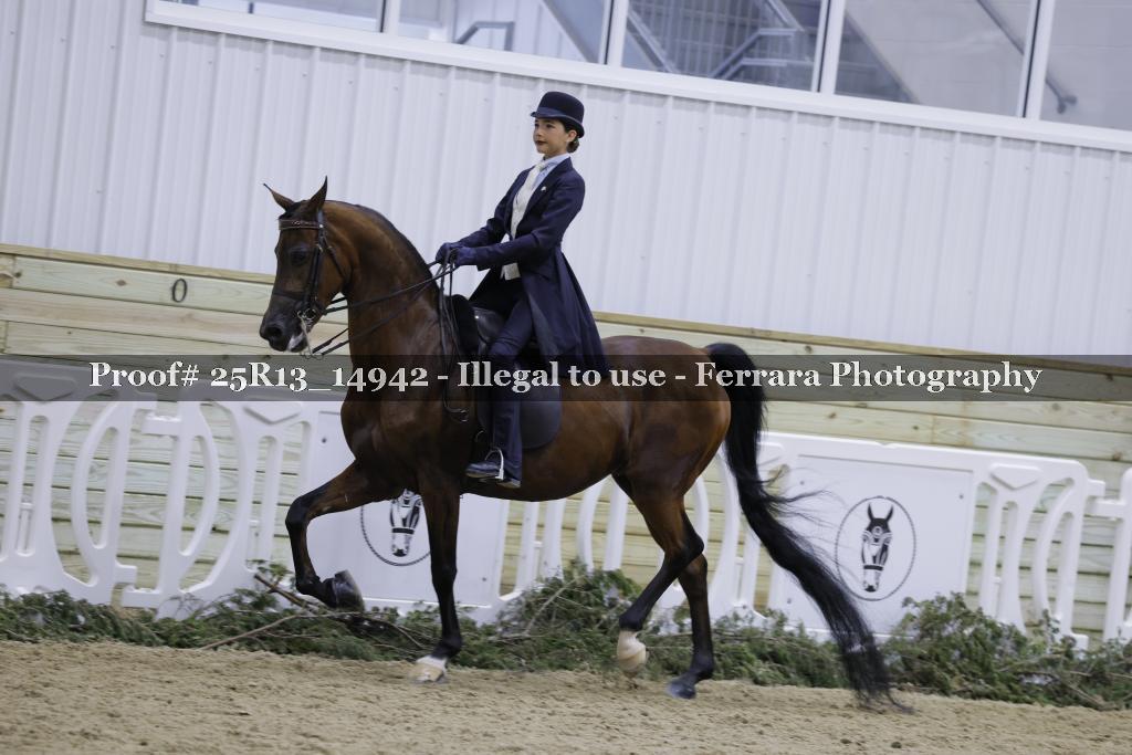 Proof 25R13_14942