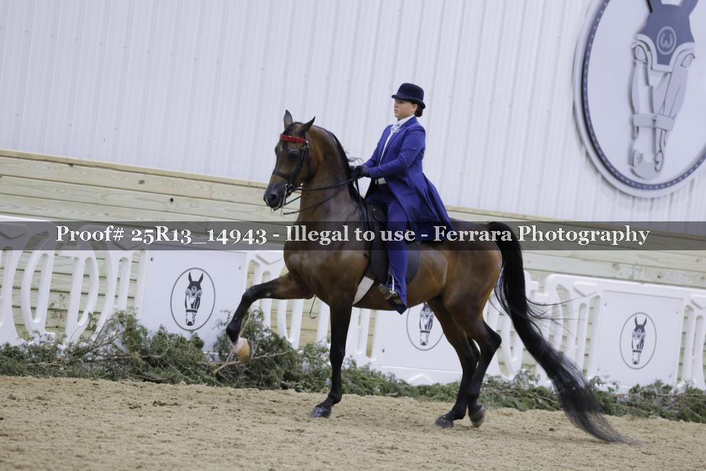 Proof 25R13_14943