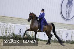 25R13_14943 proof