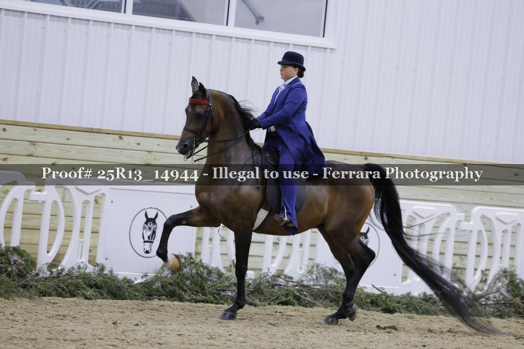 Proof 25R13_14944