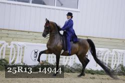 25R13_14944 proof