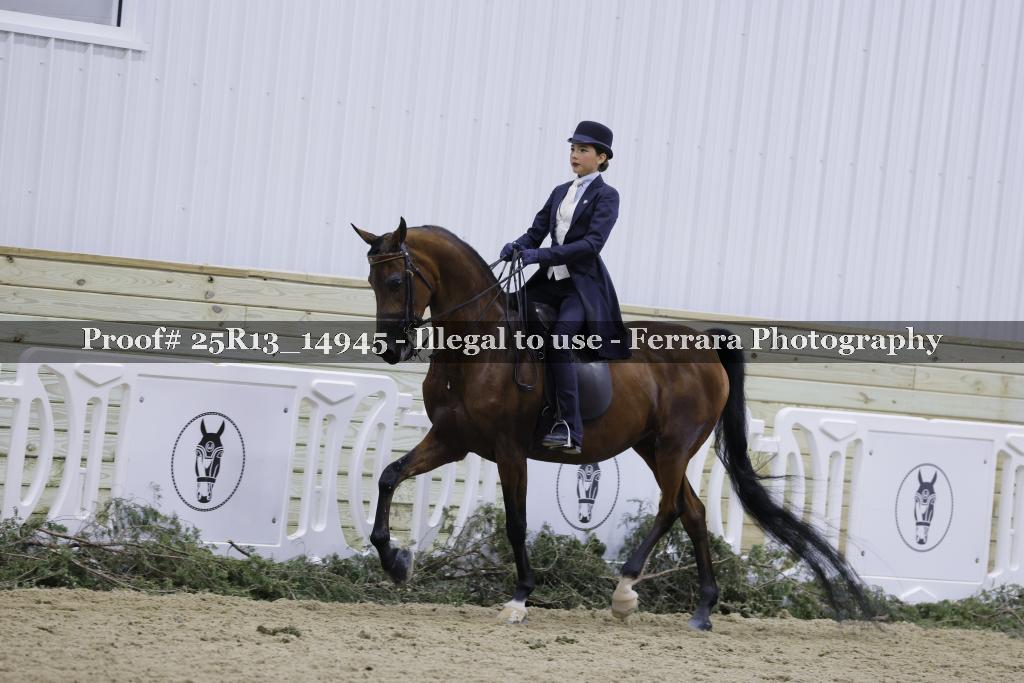 Proof 25R13_14945