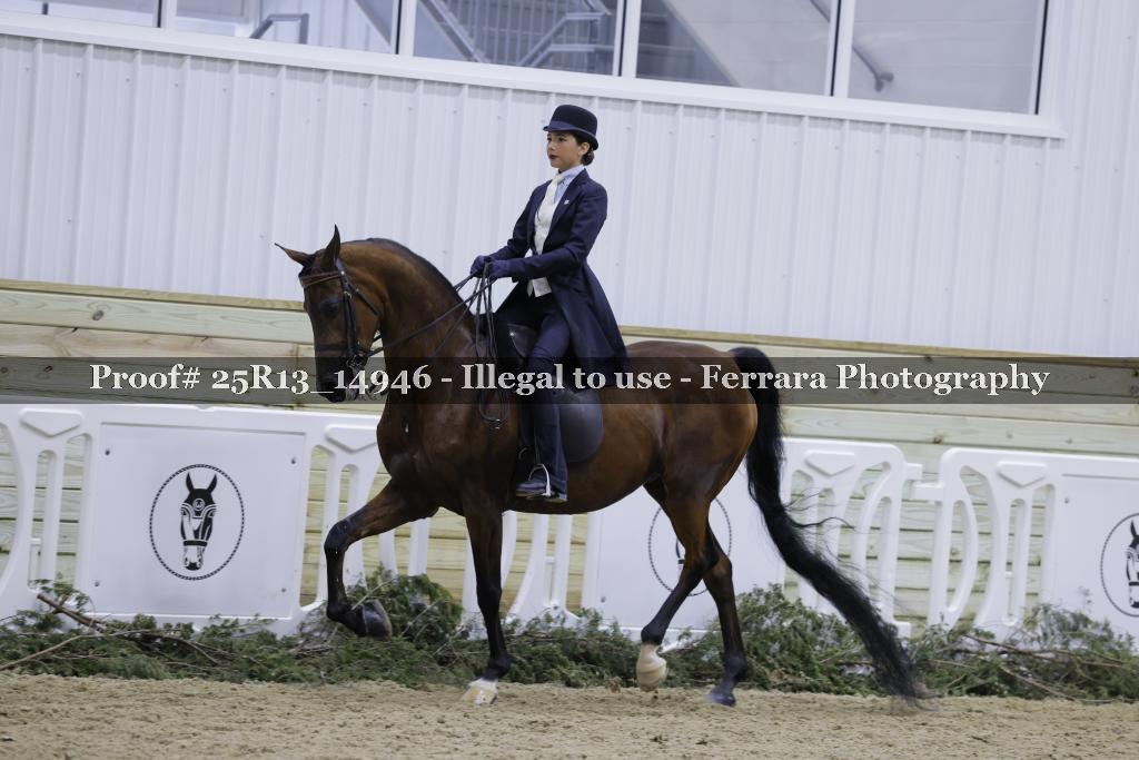 Proof 25R13_14946
