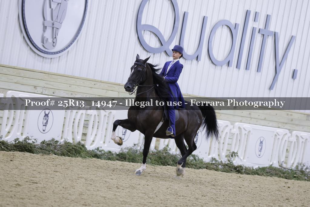 Proof 25R13_14947