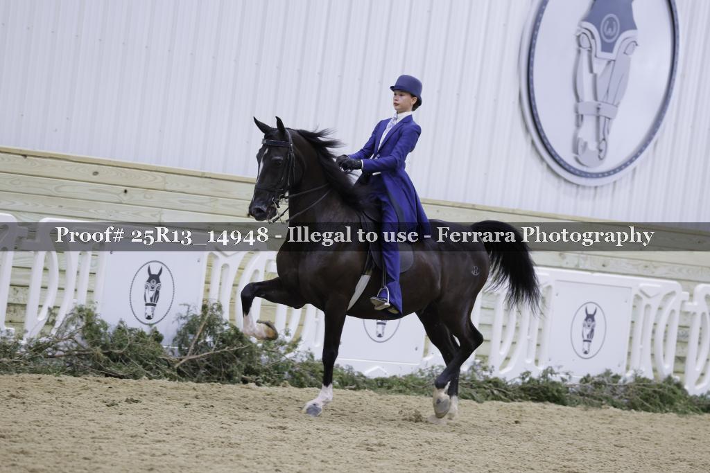 Proof 25R13_14948