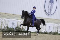 25R13_14948 proof