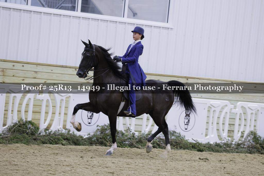 Proof 25R13_14949