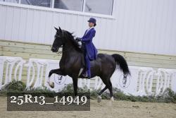 25R13_14949 proof