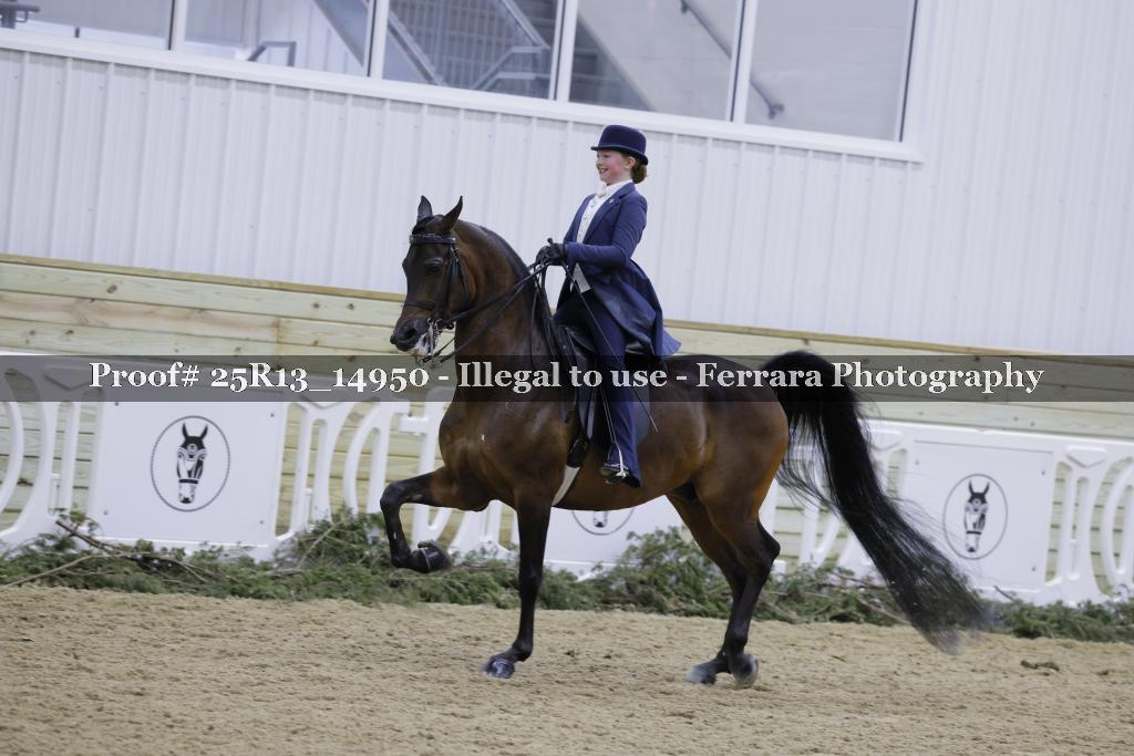 Proof 25R13_14950