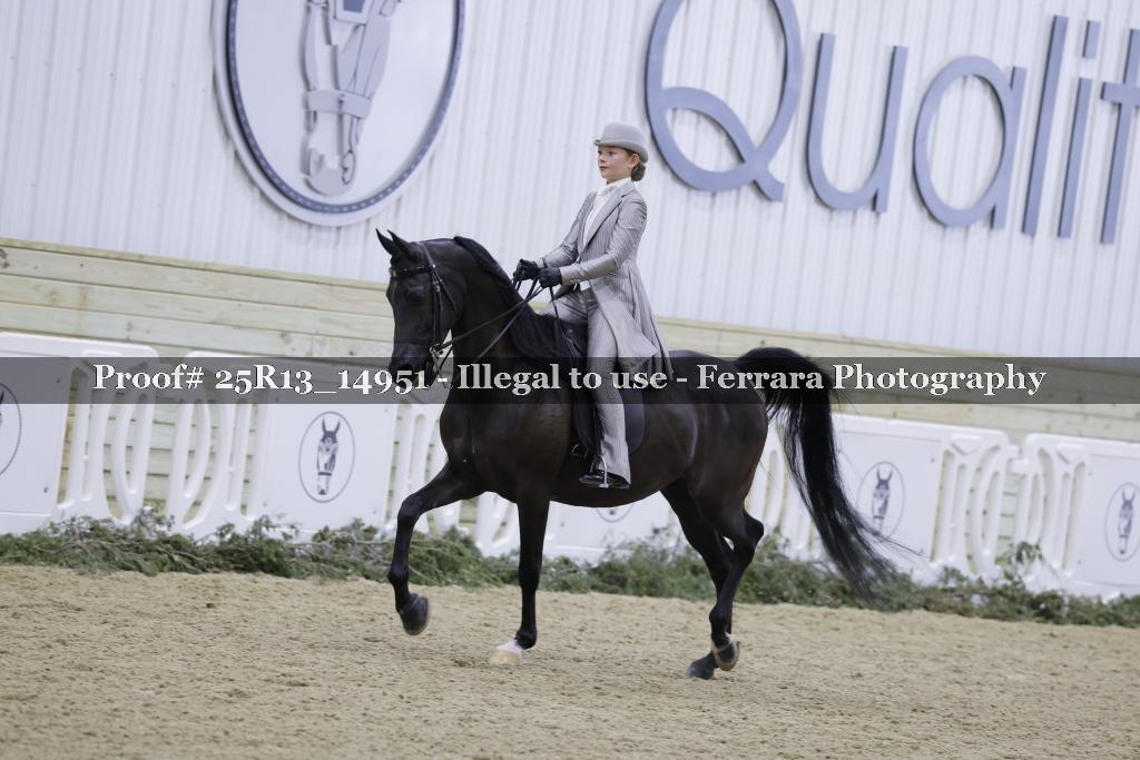 Proof 25R13_14951