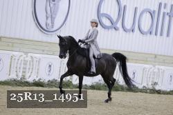 25R13_14951 proof