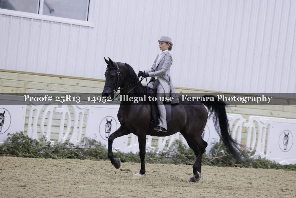 Proof 25R13_14952
