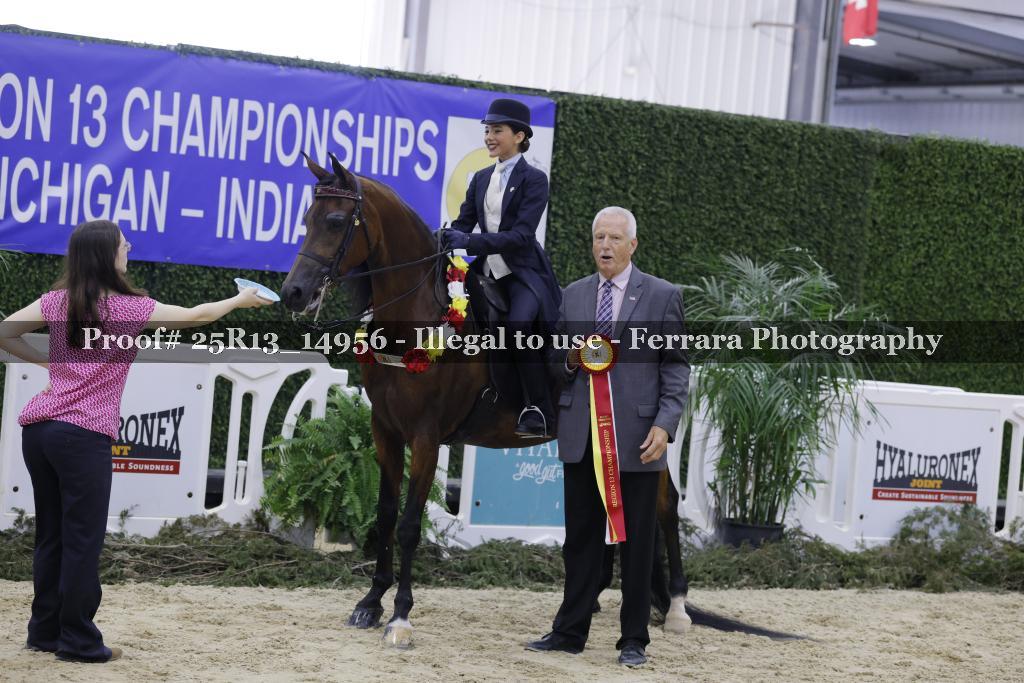 Proof 25R13_14956