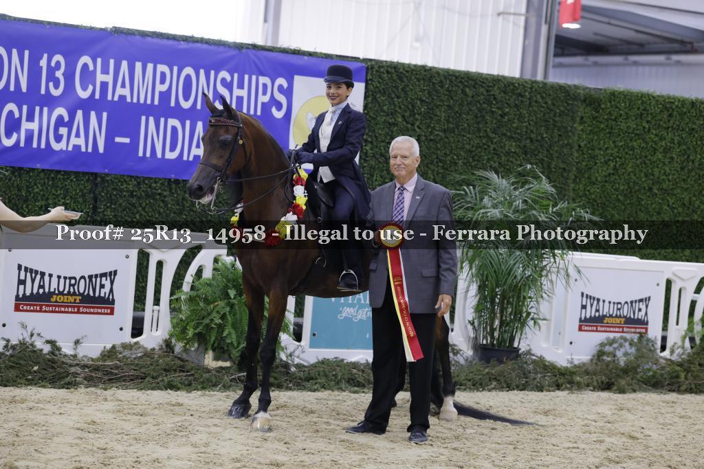 Proof 25R13_14958