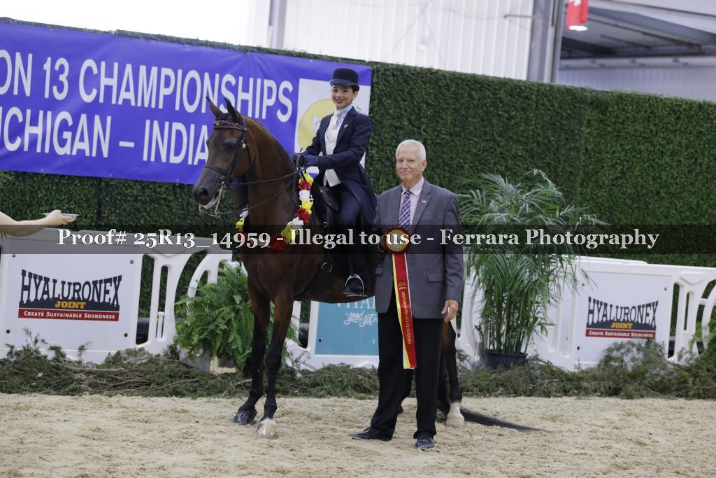 Proof 25R13_14959