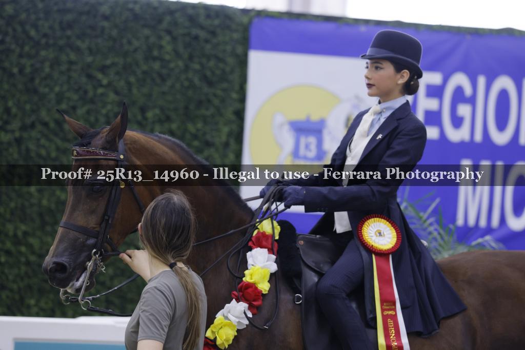 Proof 25R13_14960