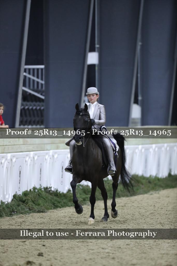Proof 25R13_14965