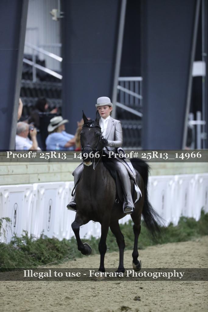 Proof 25R13_14966