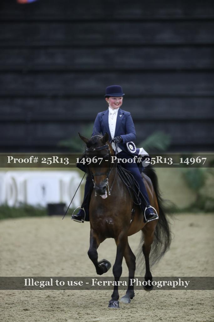 Proof 25R13_14967