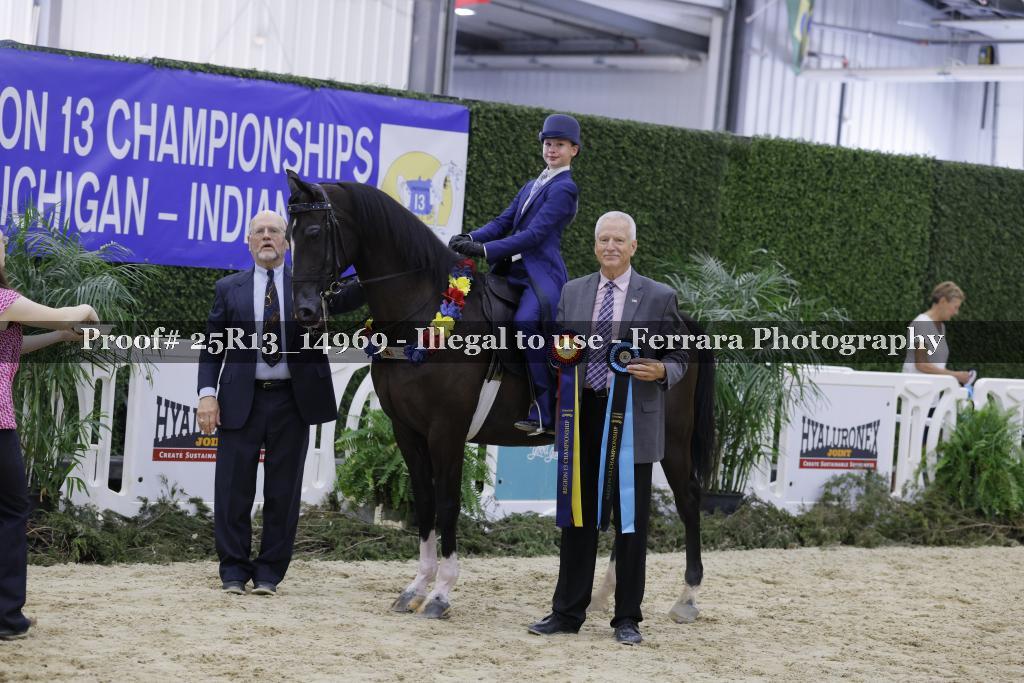 Proof 25R13_14969