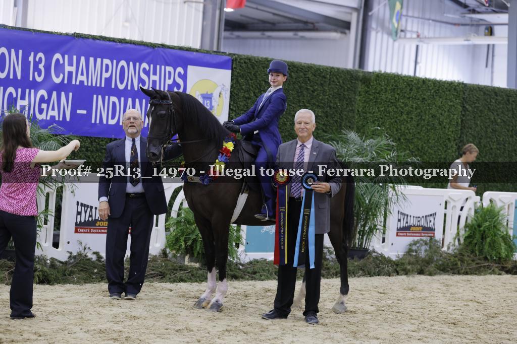 Proof 25R13_14970