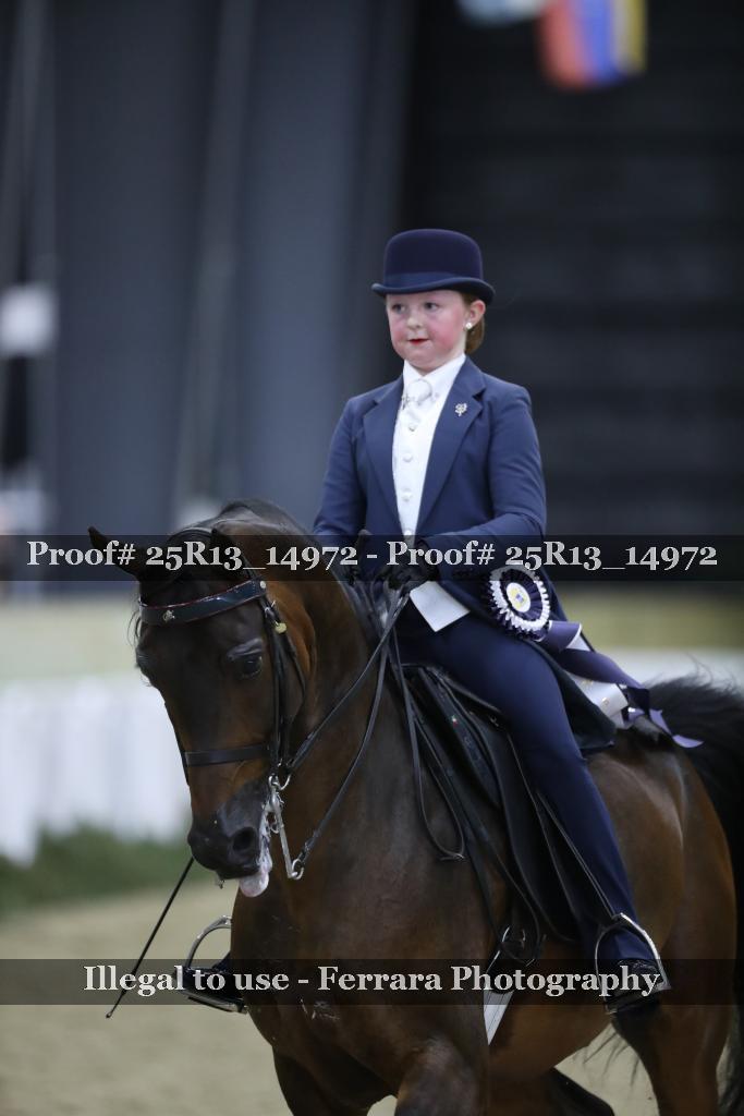 Proof 25R13_14972