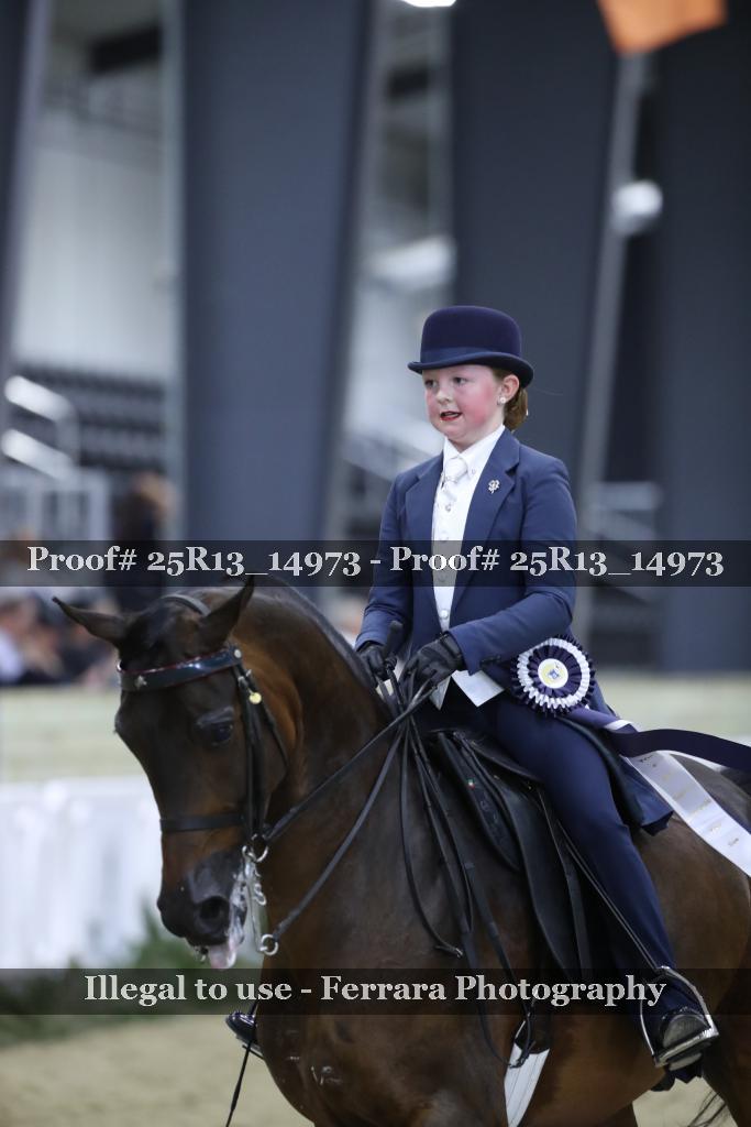 Proof 25R13_14973