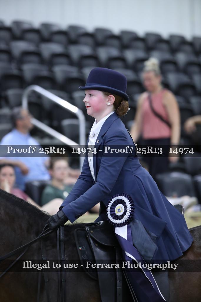Proof 25R13_14974
