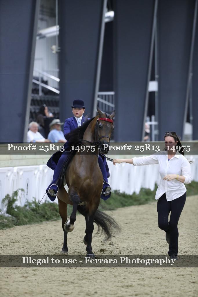 Proof 25R13_14975