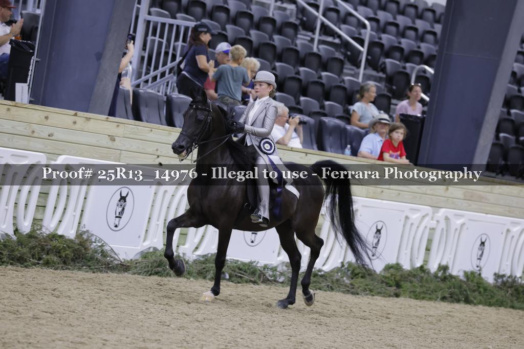 Proof 25R13_14976