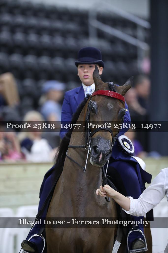 Proof 25R13_14977