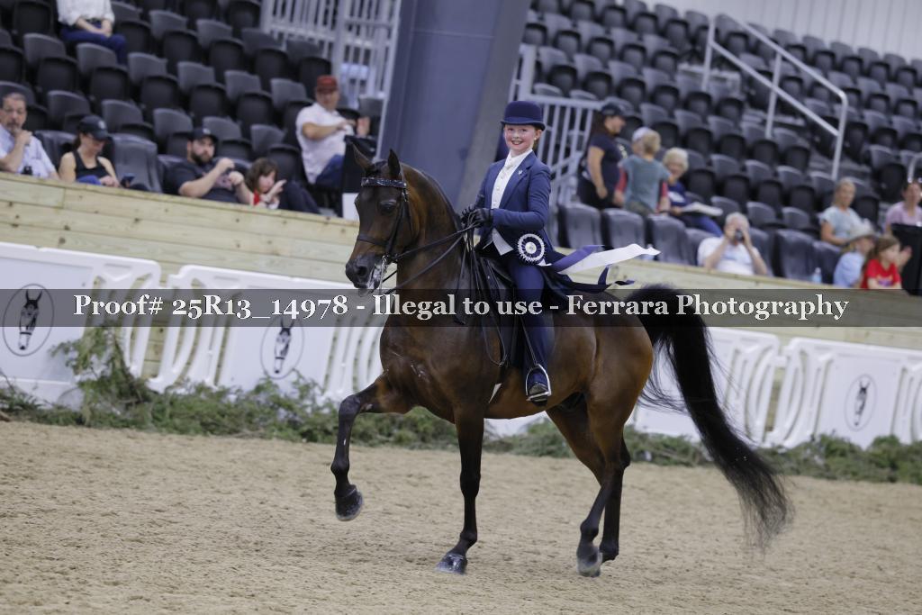 Proof 25R13_14978