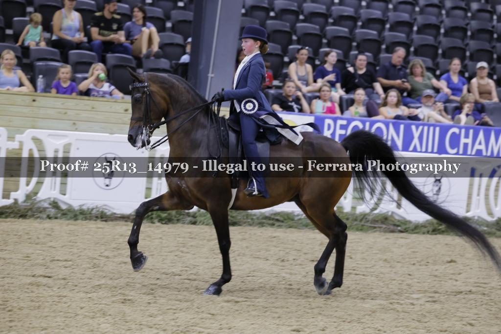 Proof 25R13_14979