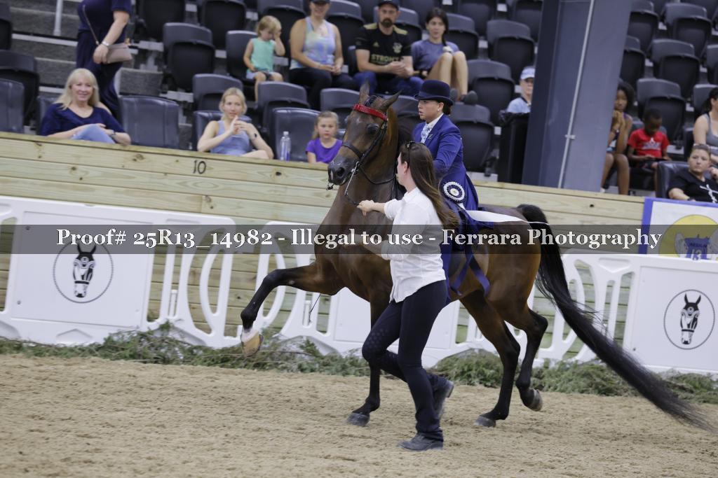 Proof 25R13_14982