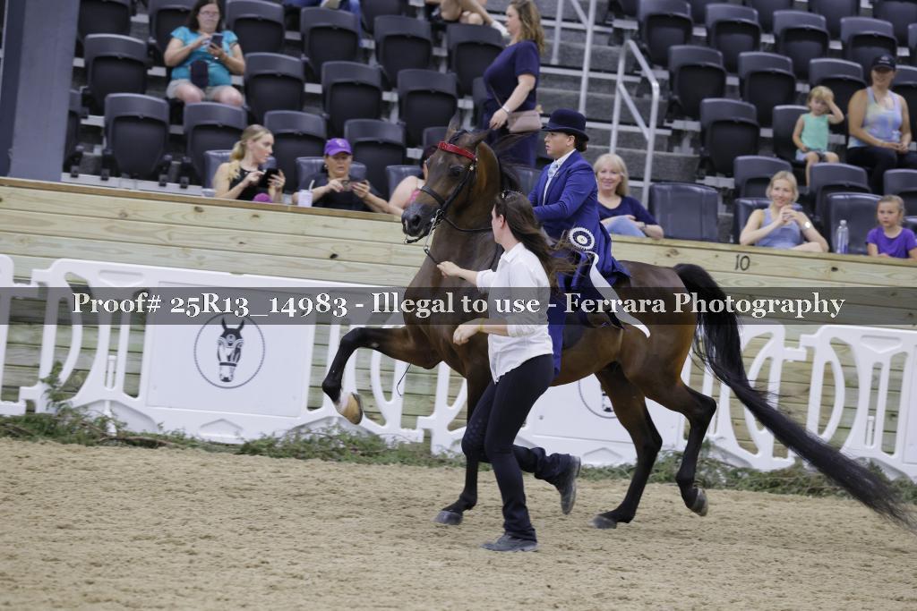Proof 25R13_14983