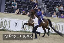 25R13_14983 proof