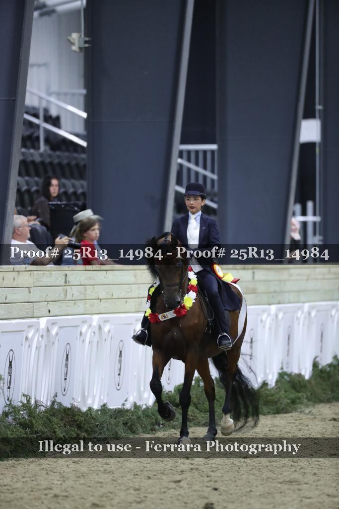 Proof 25R13_14984